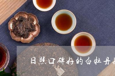 日照口碑好的白牡丹茶店/2023092344057