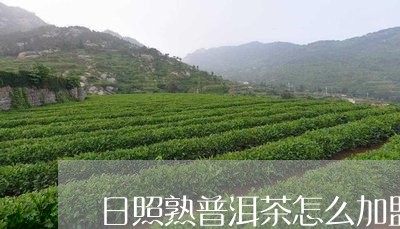 日照熟普洱茶怎么加盟/2023092565925