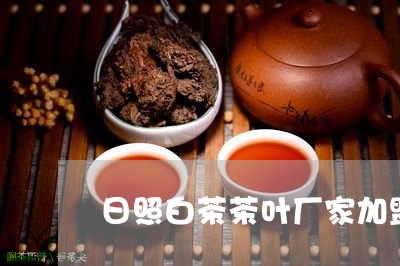 日照白茶茶叶厂家加盟/2023100214938