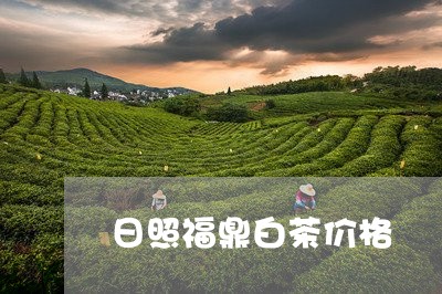 日照福鼎白茶价格/2023112685150