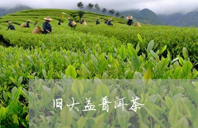 旧大益普洱茶/2023101668314