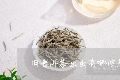 旧普洱茶出虫有哪些原因/2023082913936