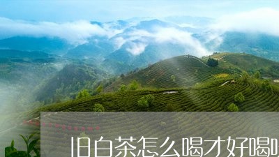 旧白茶怎么喝才好喝呀/2023100243149