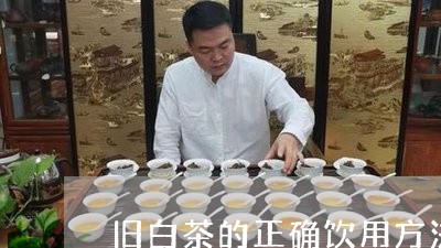 旧白茶的正确饮用方法/2023100237372