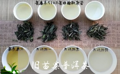 旧苗寨普洱茶/2023042674140