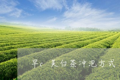 早c美白茶冲泡方式/2023073042725