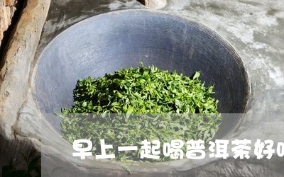 早上一起喝普洱茶好吗/2023092704859