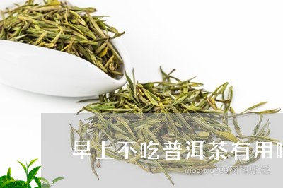 早上不吃普洱茶有用吗/2023063046260