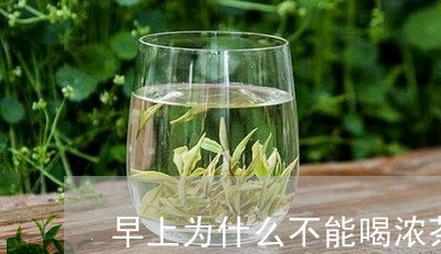 早上为什么不能喝浓茶/2023071463937