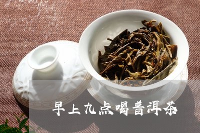 早上九点喝普洱茶/2023101658471