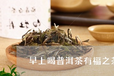 早上喝普洱茶有福之茶/2023080271493