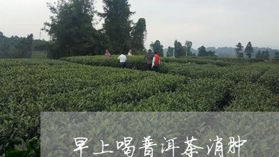 早上喝普洱茶消肿/2023120418483