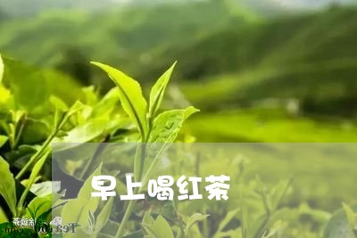 早上喝红茶/2023090280704