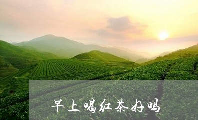 早上喝红茶好吗/2023042951098