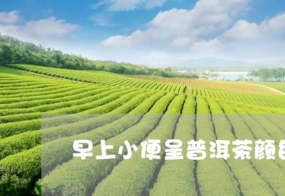 早上小便呈普洱茶颜色/2023100555038