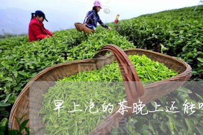 早上泡的茶晚上还能喝吗/2023081099362