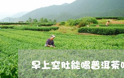 早上空肚能喝普洱茶吗/2023092614159