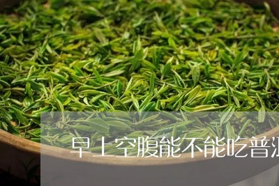 早上空腹能不能吃普洱茶熟茶/2023052839380