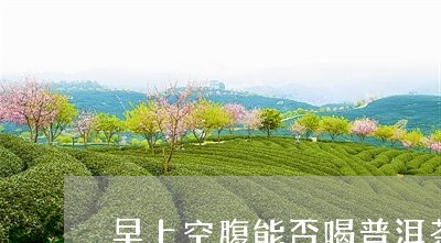 早上空腹能否喝普洱茶/2023092930393