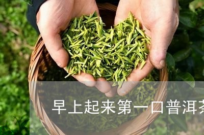 早上起来第一口普洱茶/2023061400593