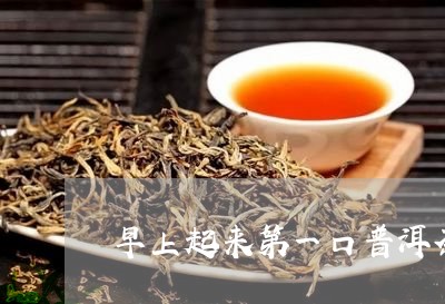 早上起来第一口普洱茶/2023092544728