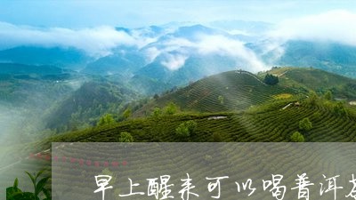 早上醒来可以喝普洱茶吗/2023081515160