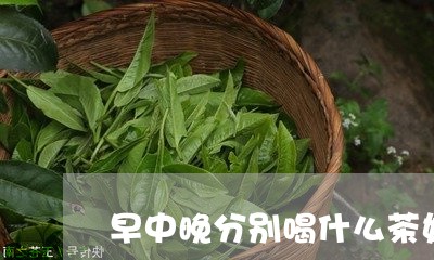 早中晚分别喝什么茶好/2023071481847