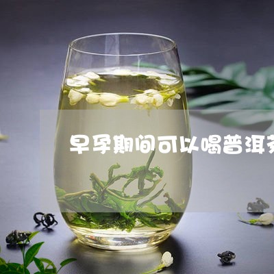 早孕期间可以喝普洱茶/2023092881604