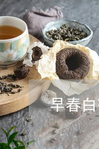 早春白茶苔的管理技术/2023100257369