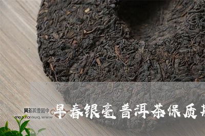 早春银毫普洱茶保质期/2023072495250