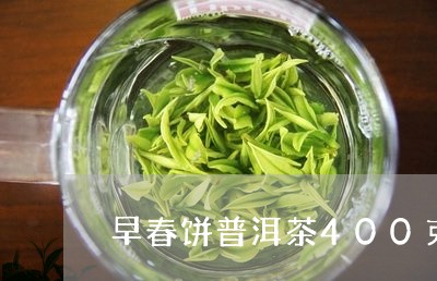 早春饼普洱茶400克/2023100629714