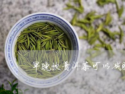 早晚饮普洱茶可以减肥/2023100856240