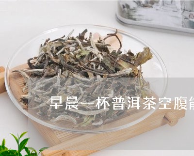 早晨一杯普洱茶空腹能喝吗减肥/2023112673914