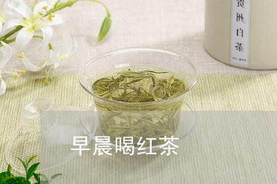 早晨喝红茶/2023090264939