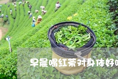 早晨喝红茶对身体好吗/2023060851383