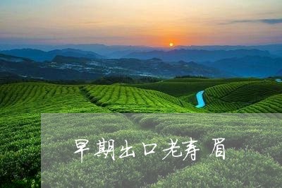 早期出口老寿眉/2023112454716