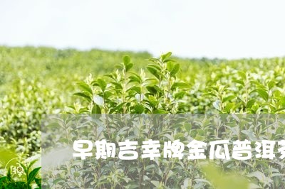 早期吉幸牌金瓜普洱茶/2023062022958