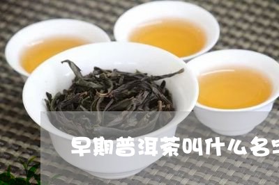 早期普洱茶叫什么名字/2023092908491