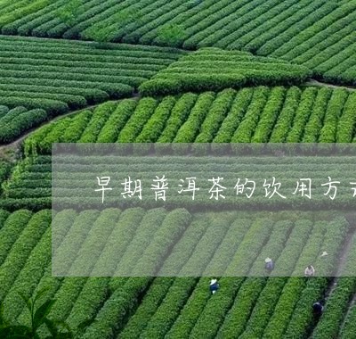 早期普洱茶的饮用方式/2023100608585