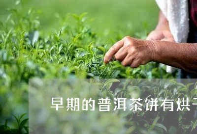 早期的普洱茶饼有烘干吗/2023082425250