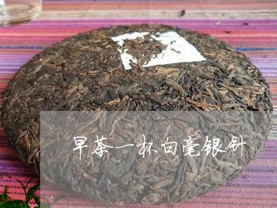 早茶一杯白毫银针/2023062162604