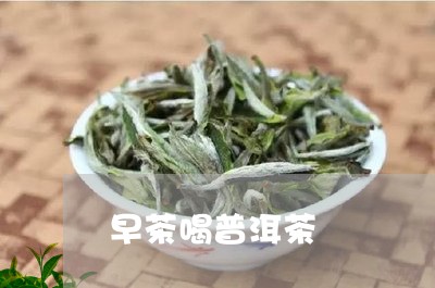 早茶喝普洱茶/2023091336381