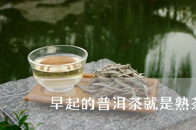 早起的普洱茶就是熟茶了吗/2023082800393