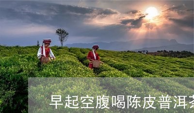 早起空腹喝陈皮普洱茶好吗/2023112458360