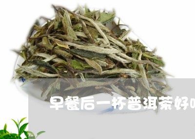 早餐后一杯普洱茶好吗/2023092701803