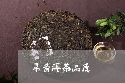 旱普洱茶品质/2023042757181