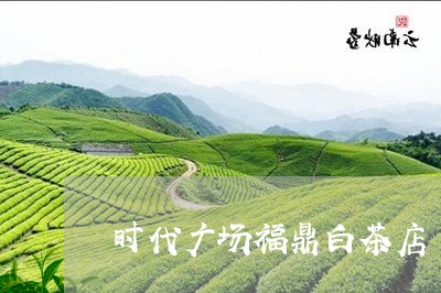 时代广场福鼎白茶店/2023120519280