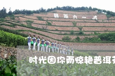 时光因你而惊艳普洱茶/2023062337042