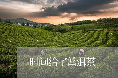 时间给了普洱茶/2023120341927