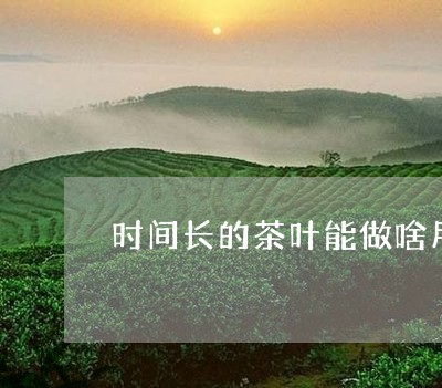 时间长的茶叶能做啥用/2023071623939